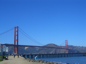 SF small 10.jpg