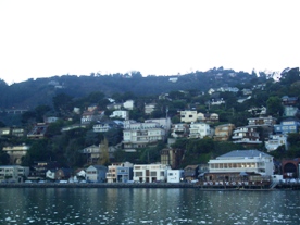 SF small 15.jpg