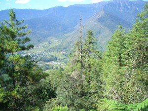 bhutan small2.jpg