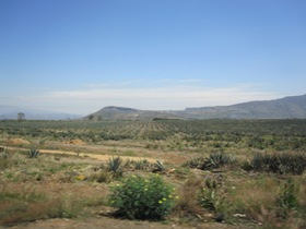 mexico small 40.jpg