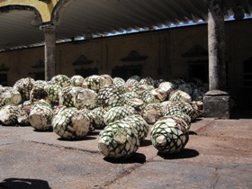 mexico small 41.jpg
