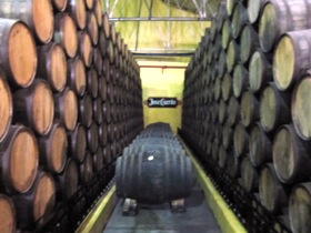 mexico small 44.jpg