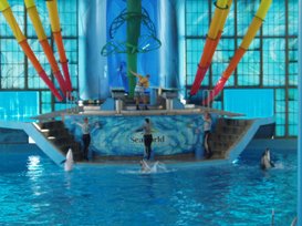 seaworld 2 sm.jpg