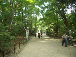 shimogamo3.jpg