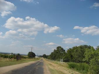 vinyards small 1.jpg